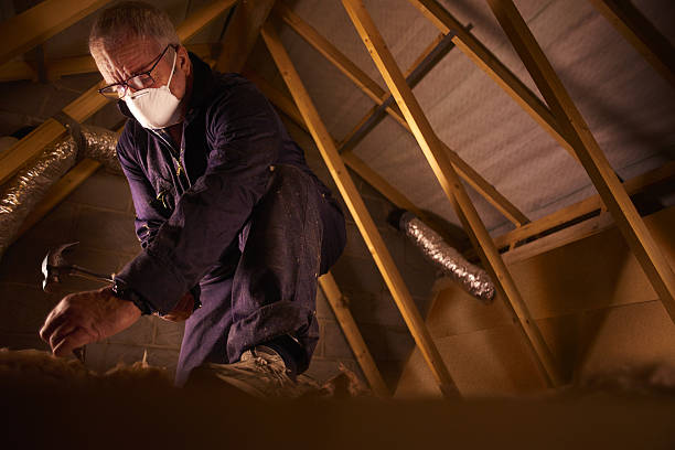 Best Affordable Insulation Services  in Bull Shoals, AR